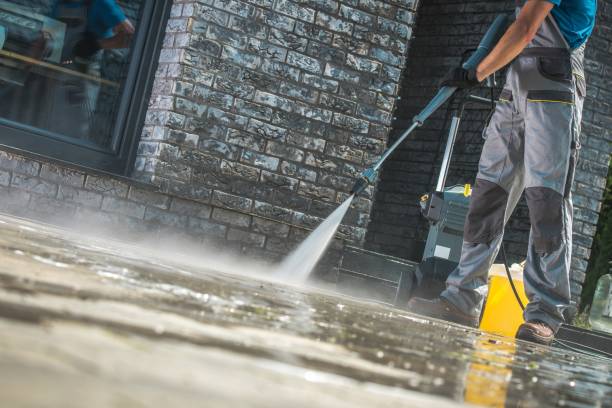 Animal Enclosure Cleaning in Kayak Point, WA